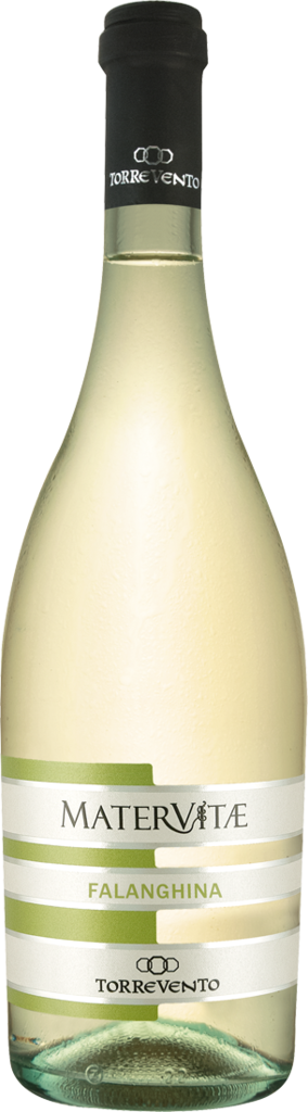009759_Torrevento-Falanghina-Matervitae_2016_l